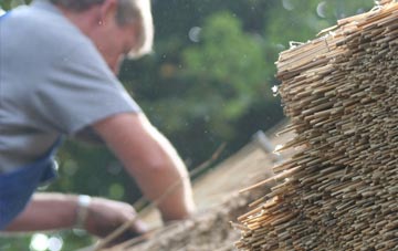 professional Gillen thatchers