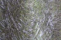 Gillen fibreglass roof work
