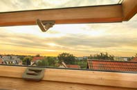 rated Gillen roof window companies